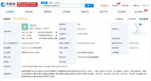网络文化经营 数字化时代的文化创新与规范